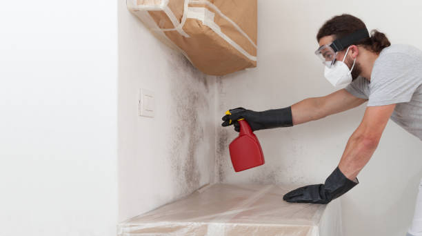 Professional Bathroom Mold Removal technician working in River Edge, NJ