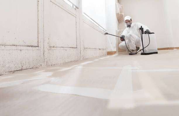 24/7 Emergency Bathroom Mold Removal experts in River Edge, NJ